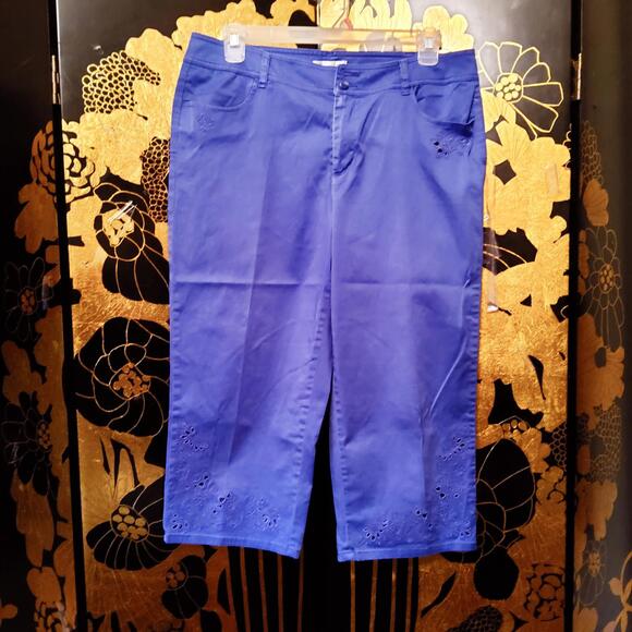 Coldwater Creek Pants - 14 Eternal Capri